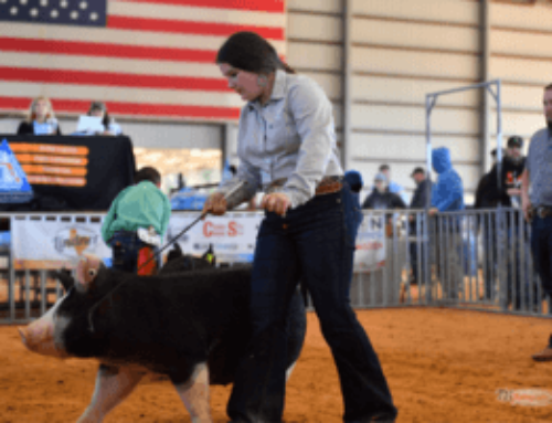 In The Community: Clay County Farm Bureau Young Farmers & Ranchers Host 4th annual Showdown in the Springs