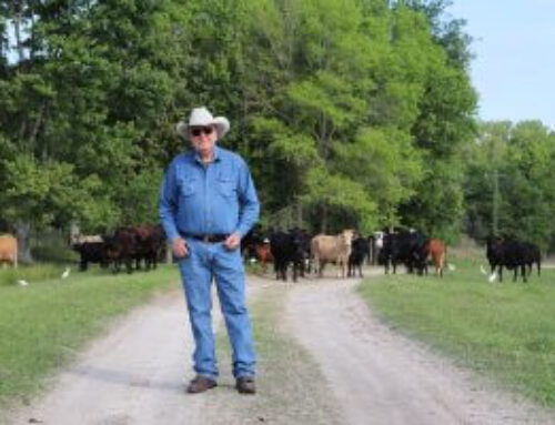 Rooted in Resilience: Jim Farley, Clay County Cattle Rancher