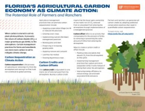 The Role of Farmers and Ranchers in Carbon Economy