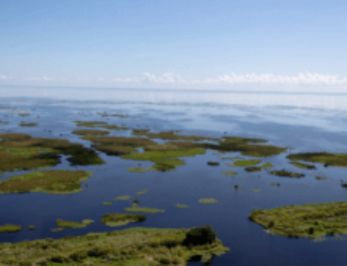 Lake Okeechobee Enters Recovery Mode