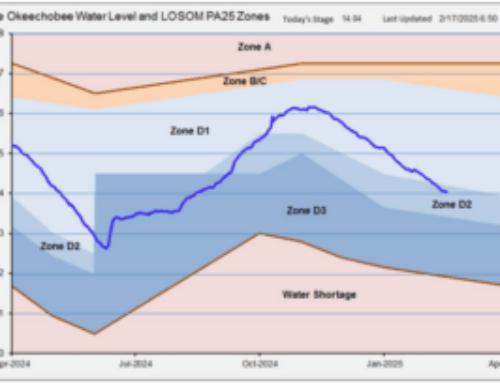 Lake Okeechobee/Kissimmee Chain of Lakes Update